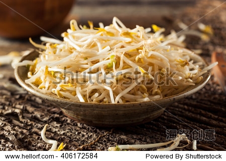 raw healthy white bean sprouts ready for cooking - 站酷海洛正版