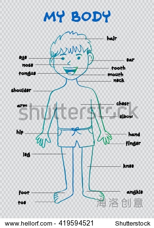 info graphic chart for kids showing parts of human body of a