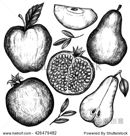 detailed creative drawing for menu, label.