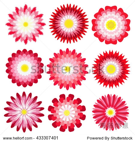 红花在平面设计,矢量插图