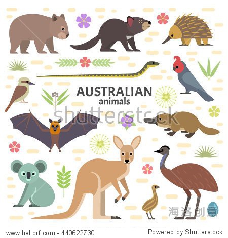 australian animals: flying fox  kangaroo  koala  tasmanian devil