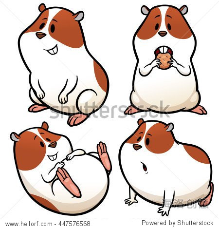 vector illustration of cartoon hamster character set