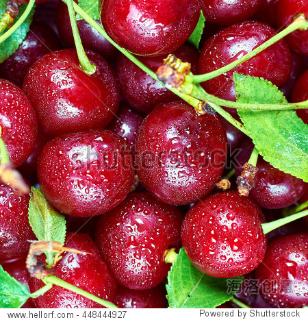 cherry fruit background - 图片素材 - 站酷海洛plus正版图片, 势档