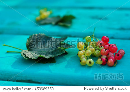 red and white currant on the blue table - 图片素材 - 站酷海洛