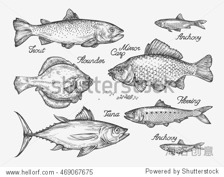 网址 如何选择 标准授权 扩展授权 eps 矢量 可随意缩小且不影响画质