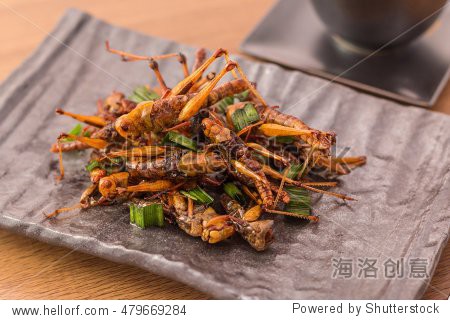 fried insects - grasshopper insect crispy with pandan after