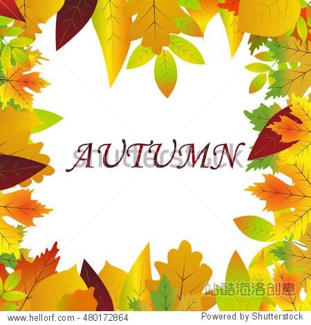 White blank on autumn background with maple leaves vector. Nature season color orange autumn background maple leaves. Beautiful texture colorful forest autumn background vibrant environment concept.