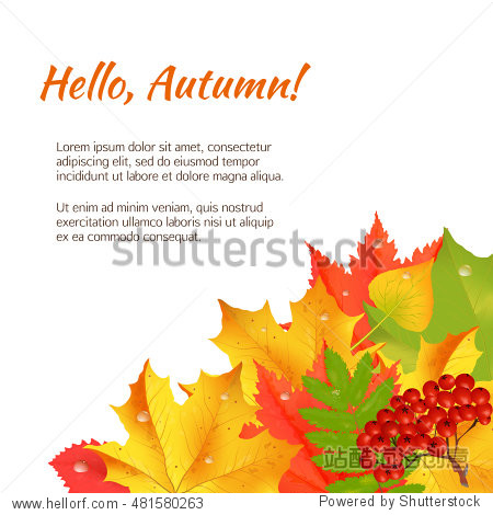 Autumn orange red green maple leaves and rowan laying in the corner on white background. Cartoon vector illustration. Concept for autumn seasonal sale autumn congratulations banner or card.