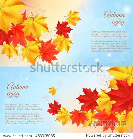 Autumn orange red yellow maple leaves in curved line on blue background. Realistic vector illustration. Concept for autumn seasonal sale autumn congratulations banner poster or card.
