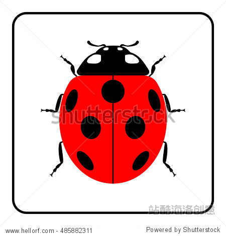 ladybug small icon.