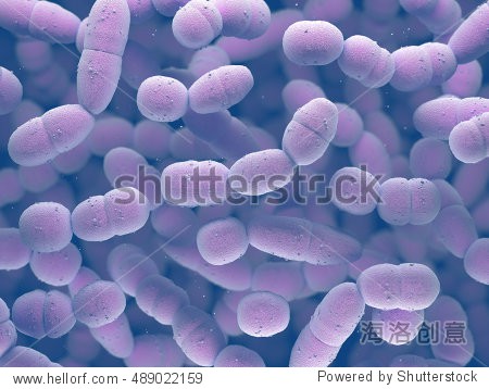 positive bacteria responsible for many types of pneumococcal