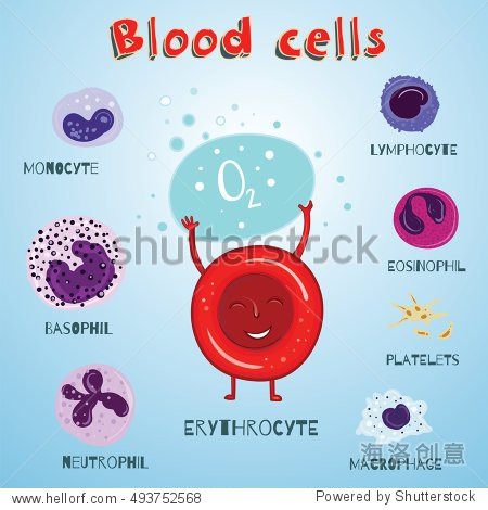 color and cartoon educational illustration for kids.