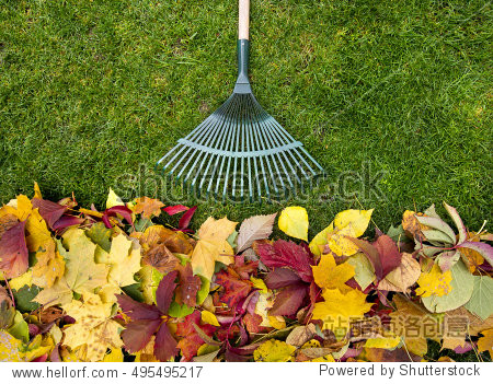collecting grass clippings. garden tools.