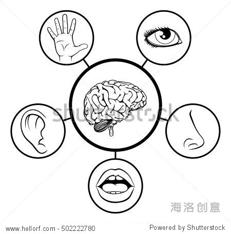 education illustration of icons representing the 5 senses