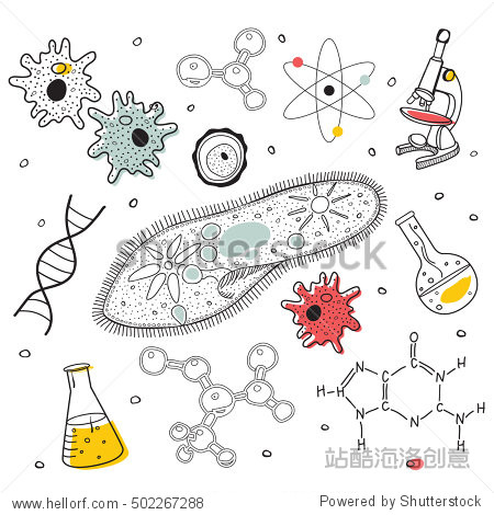 biology sketches on school board.