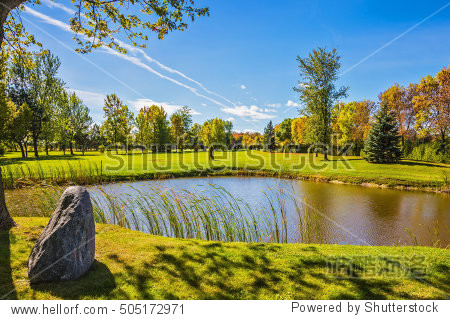 small pond with a clay bottom is surrounded by reeds.
