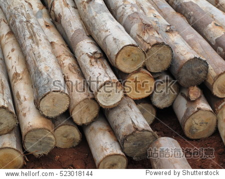 natural wooden background - closeup of chopped firewood.