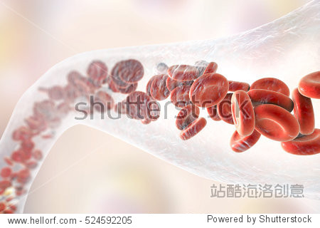 blood vessel with flowing blood cells, 3d illustration