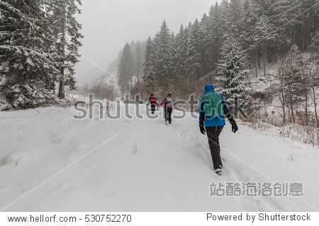 Winter scenery with fir trees in snow blizzard  and trekking path in the forest
