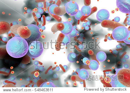 small red spheres are quorum sensing molecules used for