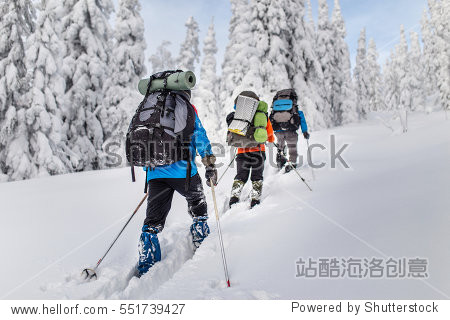 Group of skiers hiking with a backpack in winter mountains and forest
