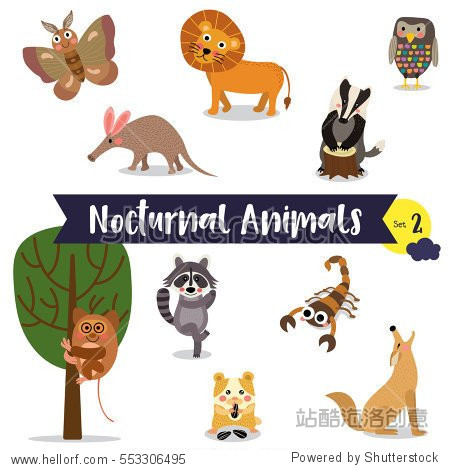 nocturnal animals cartoon on white background. set 2.