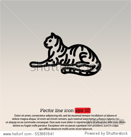 web line icon. tiger; wild animals