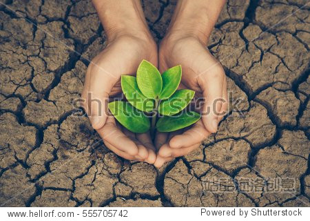 Hands holding a tree growing on cracked ground / Save the world / Environmental problems / Protect nature