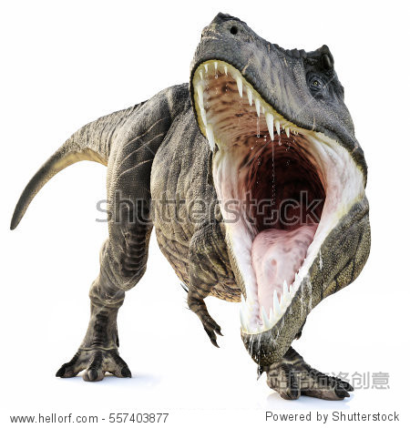 a tyrannosaurus rex attack on an isolated white background .