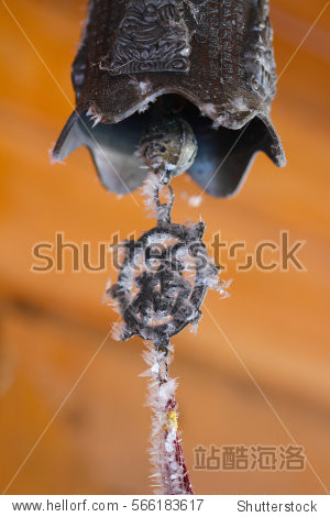 crystals of hoarfrost and snowflake on a door