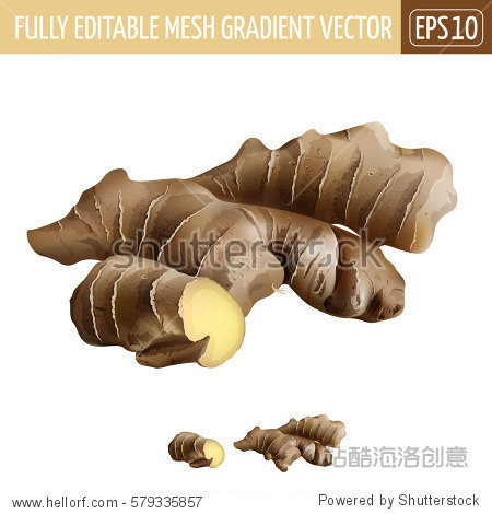 ginger on white background.