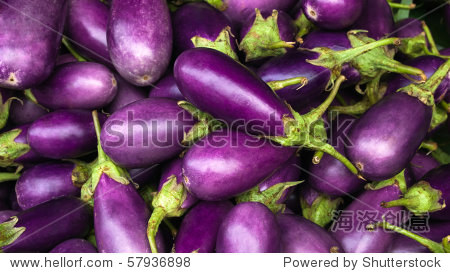 eggplant purple from market - 站酷海洛正版图片, 视频, 音乐素材