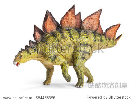 stegosaurus, genus of armored dinosaur.
