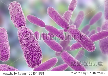 gram-negative rod-shaped bacteria which are oft