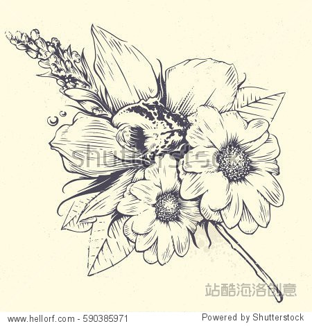 orchid and chamomile flowers with leafs.