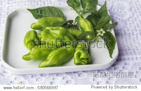 aromatic green chilis - pimenta de cheiro - 站酷海洛正版图片