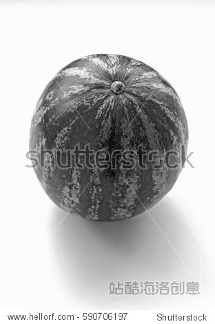 a watermelon on a white background in black and white