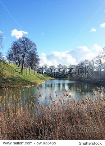 natural landscape - 站酷海洛正版图片, 视频, 音乐素材交易平台