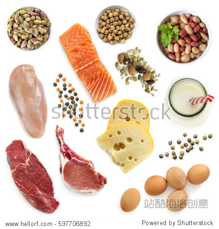 food sources of protein, isolated, top view.