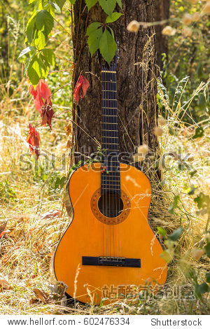 classical guitar propped against a tree trunk in the background