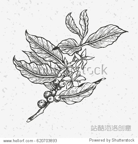 r囘y雓y瑗栯-b动y支u筞rfb惦-蔠[董妷飱{z佺(}鳛