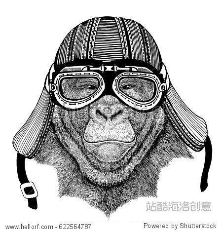 gorilla monkey apehand drawn image of animal wearing motorcycle