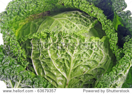 fresh young green cabbage isolated on white backg