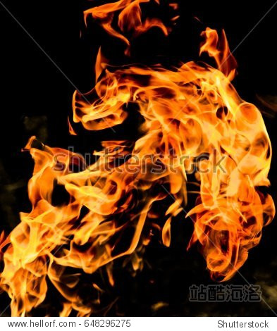 fire flames on a black background - 图片素材