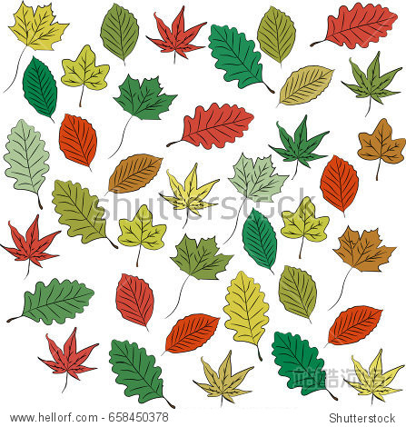 leaves - 站酷海洛正版图片, 视频, 音乐素材交易平台 - shutterstock