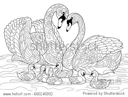 coloring book page of swan birds family.