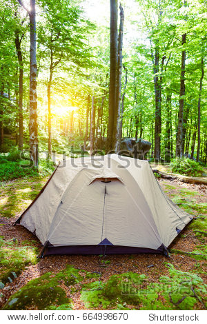tent in the deciduous forest. outdoor recreation on a day off.