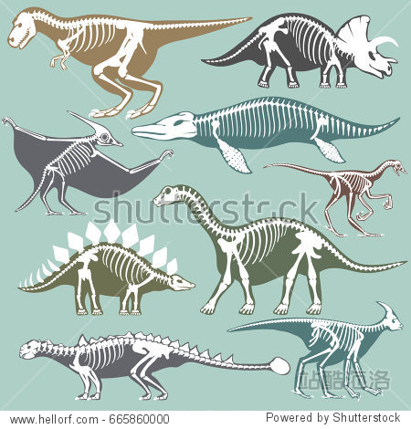 dinosaurs skeletons silhouettes set fossil bone tyrannosaurus