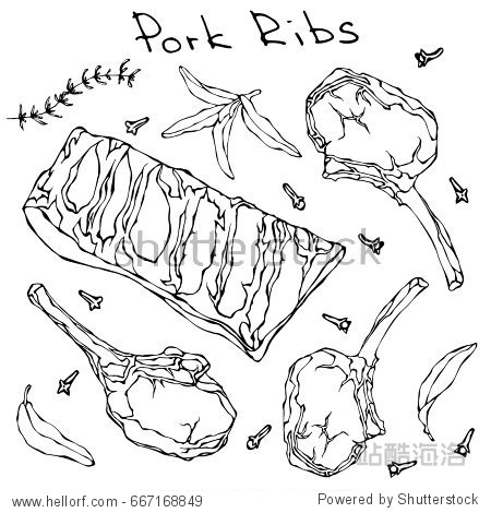 row pork ribs and herbs