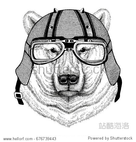 Polar bear wearing biker helmet Animal with motorcycle leather helmet Vintage helmet for bikers Aviator helmet